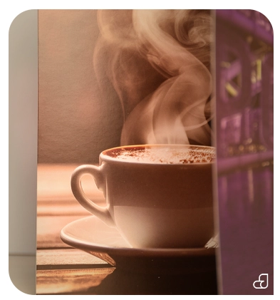 طراحی کاتالوگ و بروشور برای چاپ در چاپخانه انتشارات جنگل